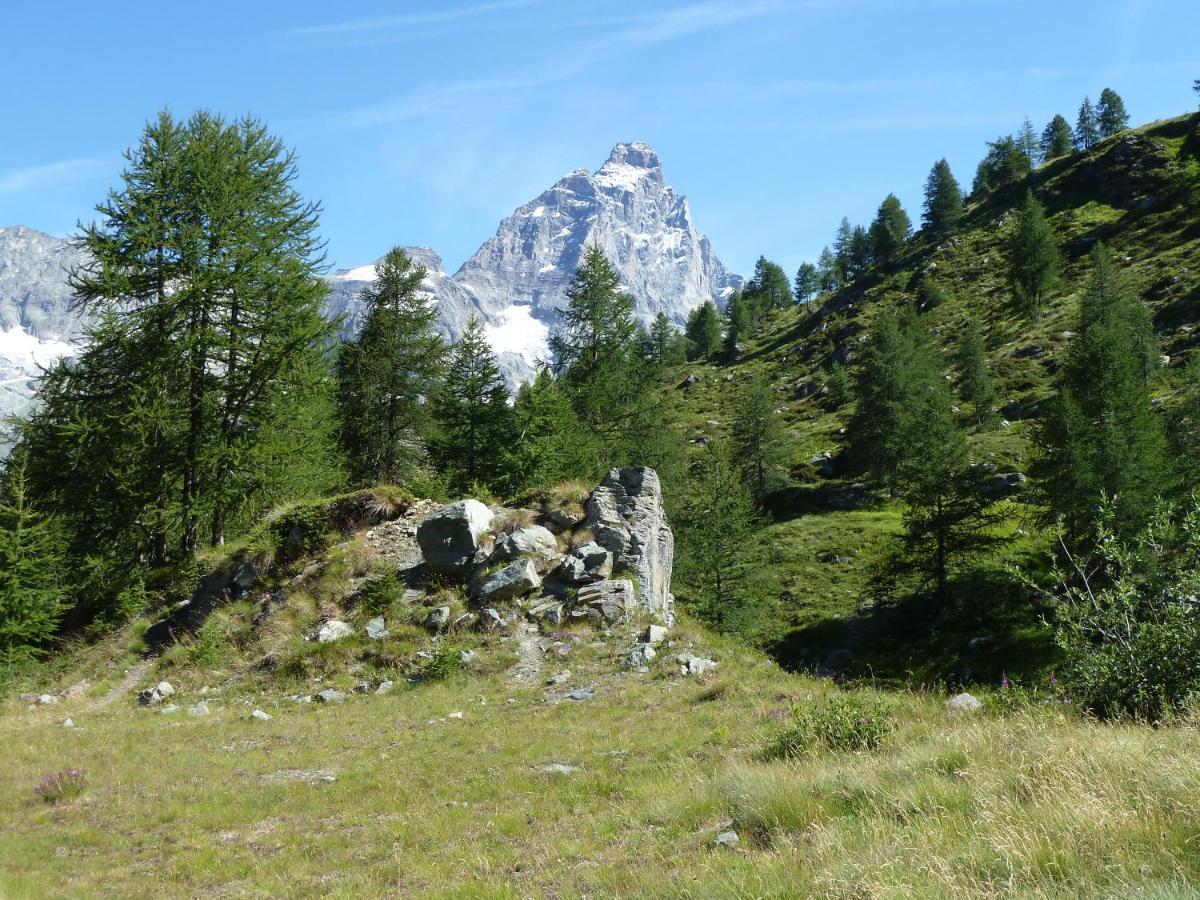 Le Petit Refuge Cervinia Leilighet Breuil-Cervinia Eksteriør bilde
