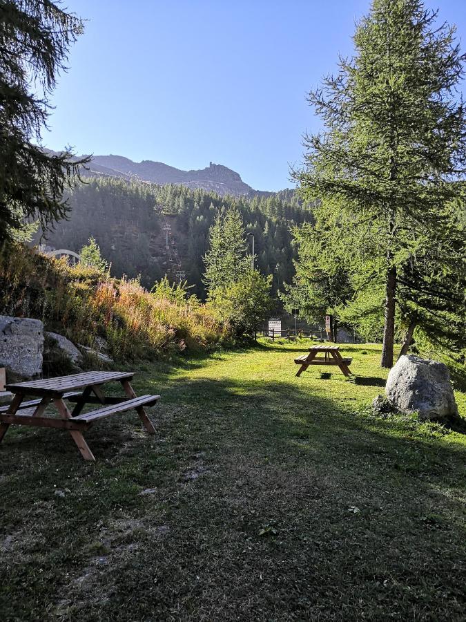 Le Petit Refuge Cervinia Leilighet Breuil-Cervinia Eksteriør bilde