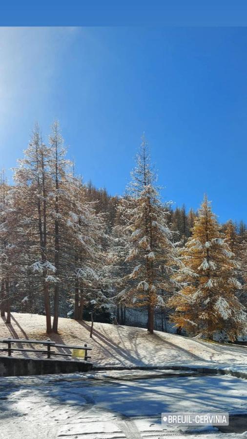 Le Petit Refuge Cervinia Leilighet Breuil-Cervinia Eksteriør bilde